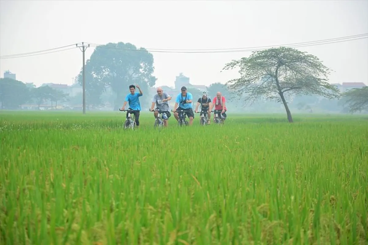 Half-Day Hanoi E-Bike Tour: Exploring Ancient Co Loa Citadel